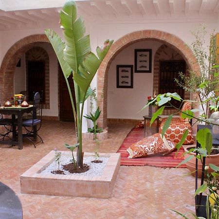 La Maison Berber Shams 马拉喀什 外观 照片