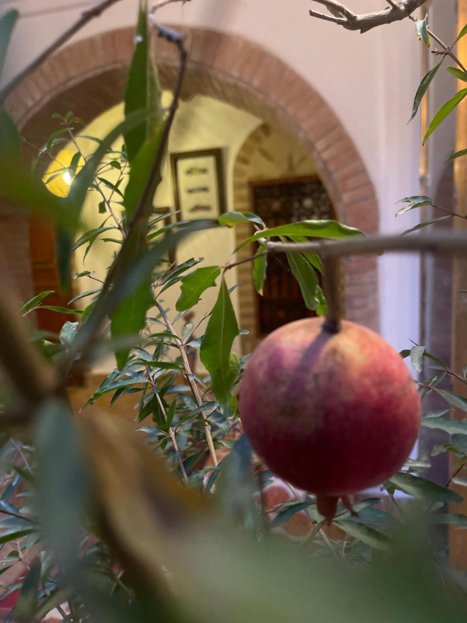 La Maison Berber Shams 马拉喀什 外观 照片